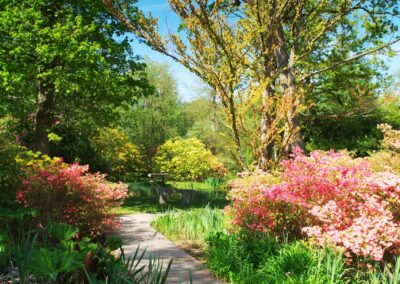 Secret Garden Boardwalk