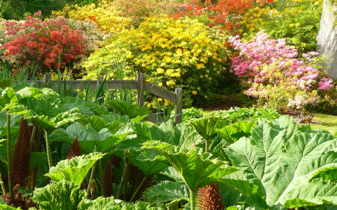 1970’s Valentines Night