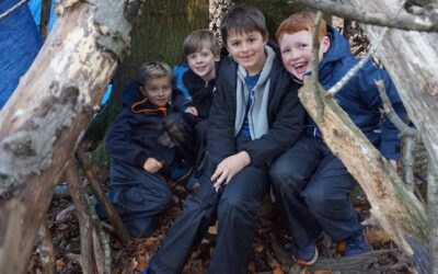 Den Building