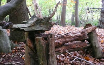 Environmental Art