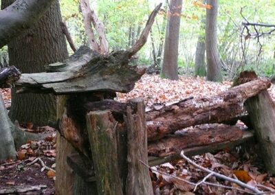 Environmental Art – Children work in groups to produce some big art.