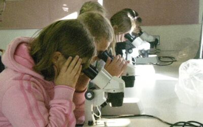 Aquatic Ecology