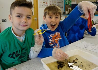 Owl Pellet Dissection – Learn about owls, their ecology and adaptations before heading into the laboratory for some owl pellet dissection. Find teeth and skulls of mice voles and shrews.