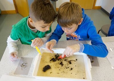 Owl Pellet Dissection – Learn about owls, their ecology and adaptations before heading into the laboratory for some owl pellet dissection. Find teeth and skulls of mice voles and shrews.
