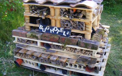 Woodlouse House