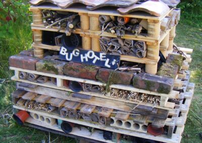Woodlouse House – A hunt for animal homes before creating an imaginative luxury house for Wally the Woodlouse. Suitable for KS1