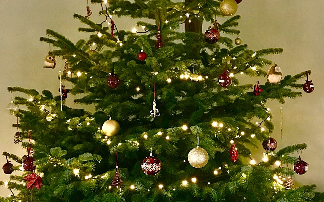 Family Festive Crafts at How Hill