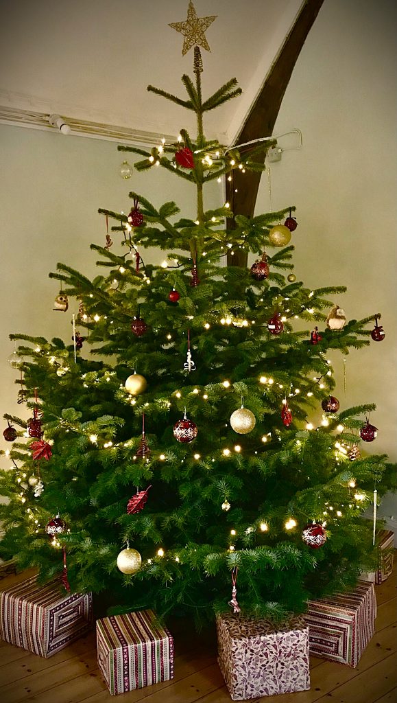 Family Festive Crafts at How Hill