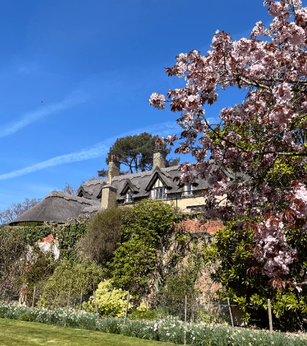 Birds, Buds and Blossoms