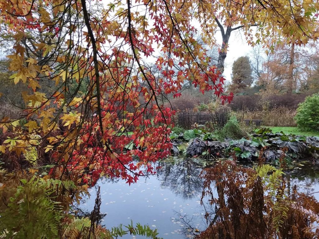Autumn Walk and Light Lunch